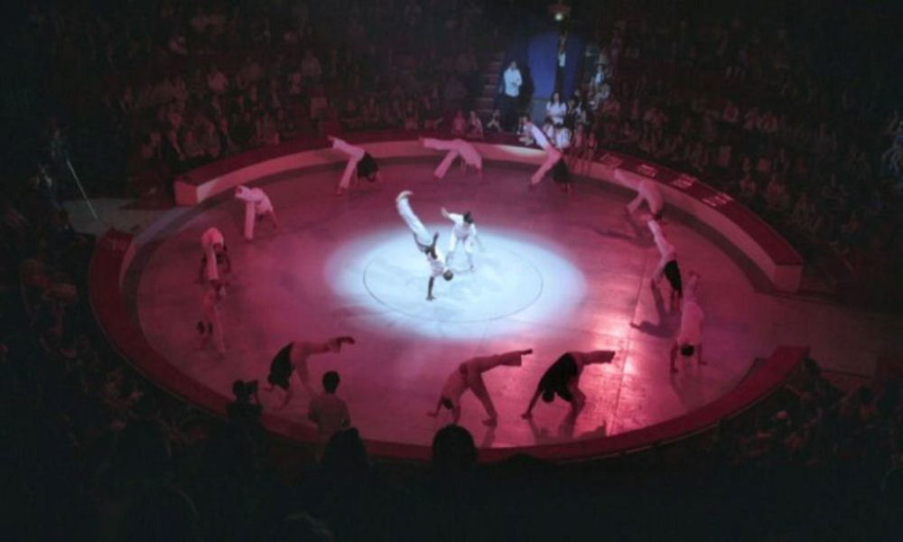 spectacle au cirque d'hiver jogaki capoeira paris